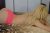 Batıkent Escort Bayan Bomba Nazlı - Resim4